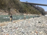 秩父フライフィールド 釣果