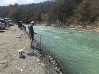 秩父フライフィールド 釣果