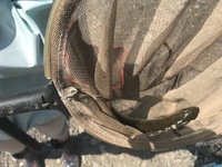 秩父フライフィールド 釣果