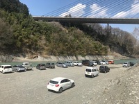 秩父フライフィールド 釣果