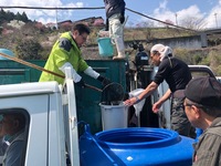 秩父フライフィールド 釣果