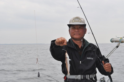根岸丸 釣果