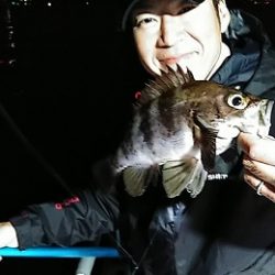 フィッシングガイド りょう 釣果