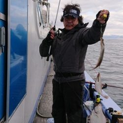 小樽港遊漁船ＳＨＡＫＥ 釣果