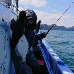 小樽港遊漁船ＳＨＡＫＥ 釣果