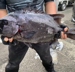 千津丸 釣果