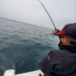 海晴丸 釣果