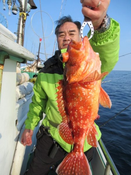 真祐丸 (しんゆうまる) 釣果