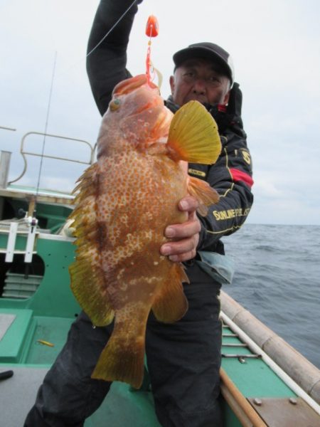 真祐丸 (しんゆうまる) 釣果