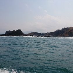 小樽港遊漁船SHAKE 釣果