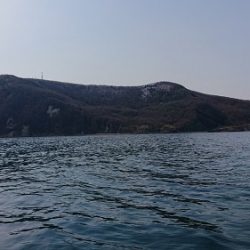 小樽港遊漁船ＳＨＡＫＥ 釣果