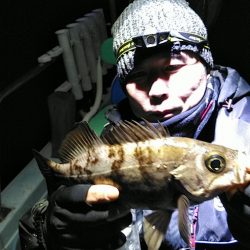 フィッシングガイド りょう 釣果