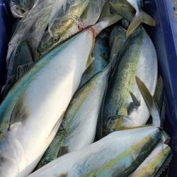 LUSTER『ラスター』 釣果