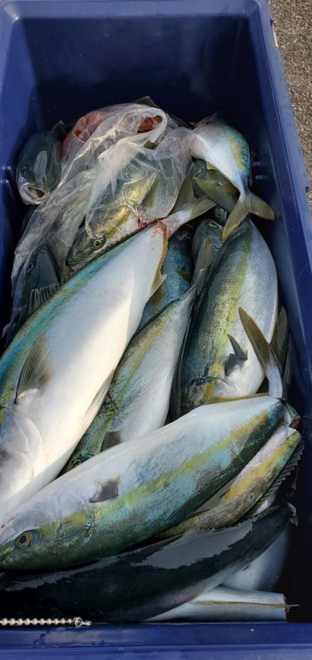 LUSTER『ラスター』 釣果