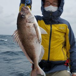 LUSTER『ラスター』 釣果