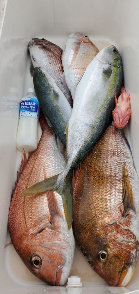 LUSTER『ラスター』 釣果