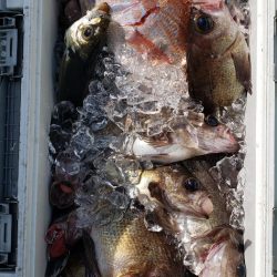 海龍丸（石川） 釣果