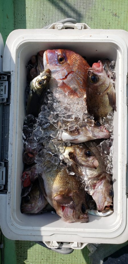 海龍丸（石川） 釣果