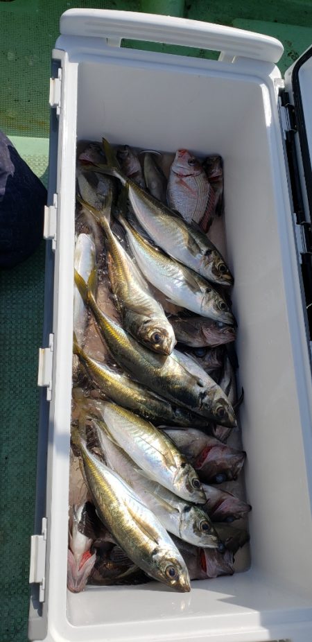 海龍丸（石川） 釣果