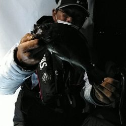 フィッシングガイド りょう 釣果