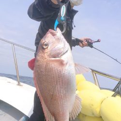 だて丸 釣果