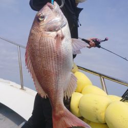 だて丸 釣果