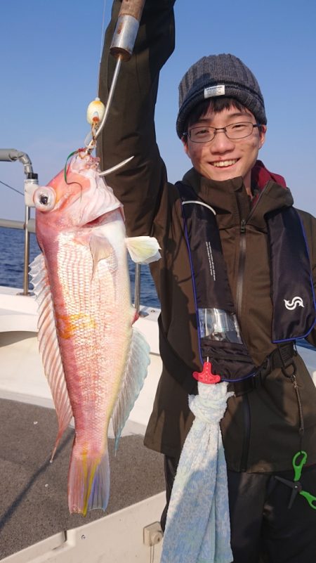 ARCADIAⅡ (アルカディアⅡ) 釣果