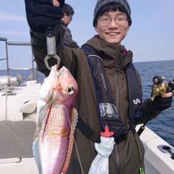 ARCADIAⅡ (アルカディアⅡ) 釣果