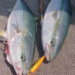 ARCADIAⅡ (アルカディアⅡ) 釣果