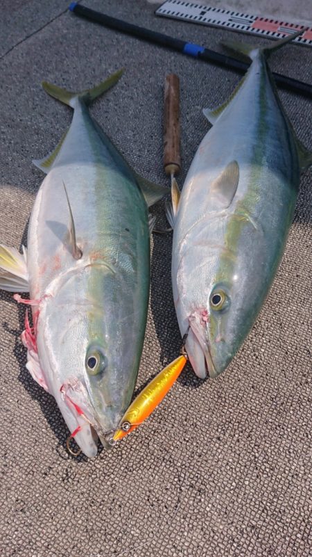 ARCADIAⅡ (アルカディアⅡ) 釣果