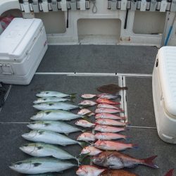 ARCADIAⅡ (アルカディアⅡ) 釣果