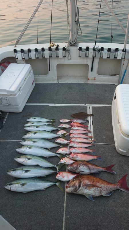 ARCADIAⅡ (アルカディアⅡ) 釣果