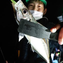 シースナイパー海龍 釣果