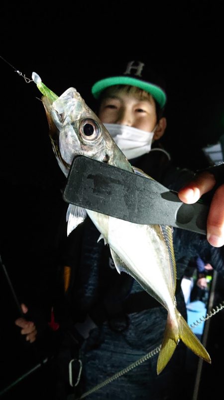 シースナイパー海龍 釣果