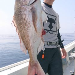 だて丸 釣果