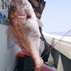 だて丸 釣果