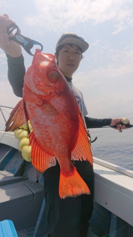 だて丸 釣果
