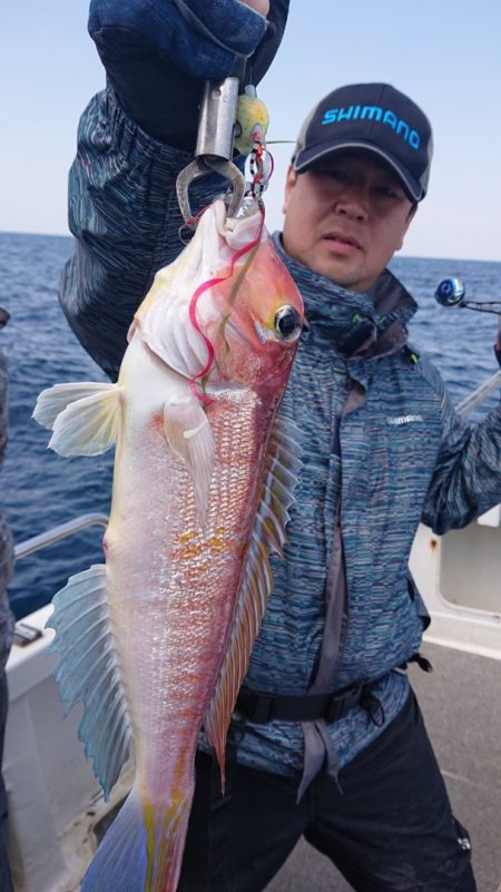 ARCADIAⅡ (アルカディアⅡ) 釣果