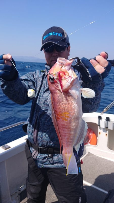 ARCADIAⅡ (アルカディアⅡ) 釣果