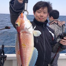 ARCADIAⅡ (アルカディアⅡ) 釣果