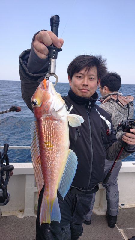 ARCADIAⅡ (アルカディアⅡ) 釣果