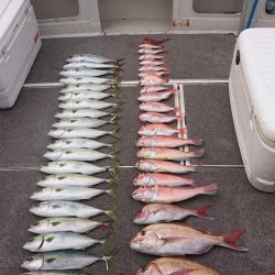 ARCADIAⅡ (アルカディアⅡ) 釣果