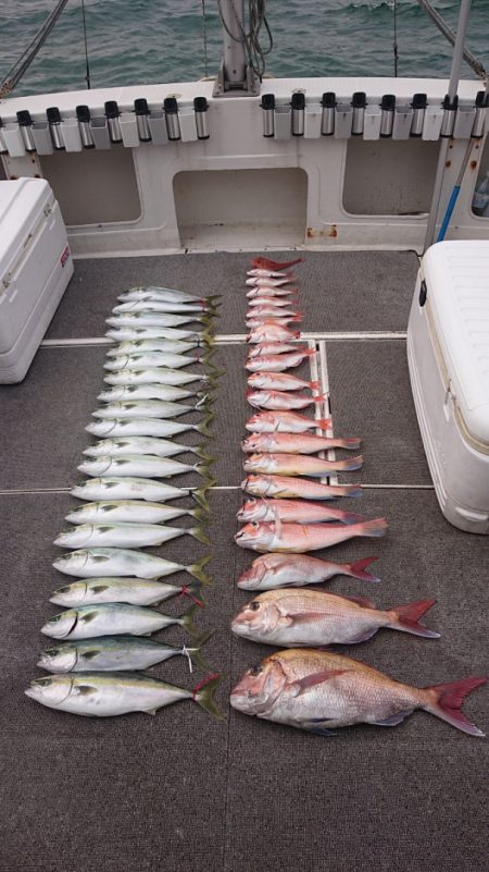 ARCADIAⅡ (アルカディアⅡ) 釣果