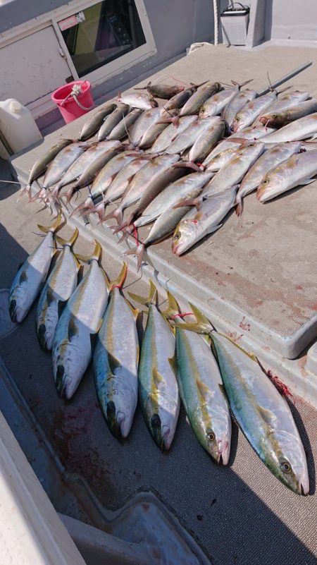 海皇丸 釣果
