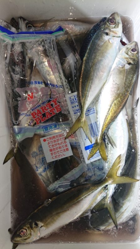 シースナイパー海龍 釣果