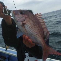 新幸丸 釣果