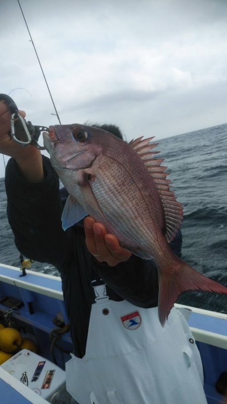 新幸丸 釣果