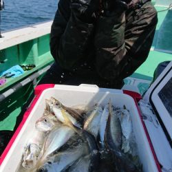 金沢八景鴨下丸 釣果