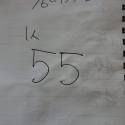 金沢八景鴨下丸 釣果