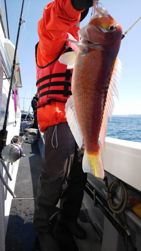 第二龍勢丸 釣果